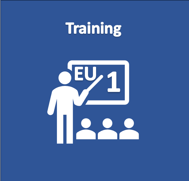 Training or Service on Site (Europe) - 1 day